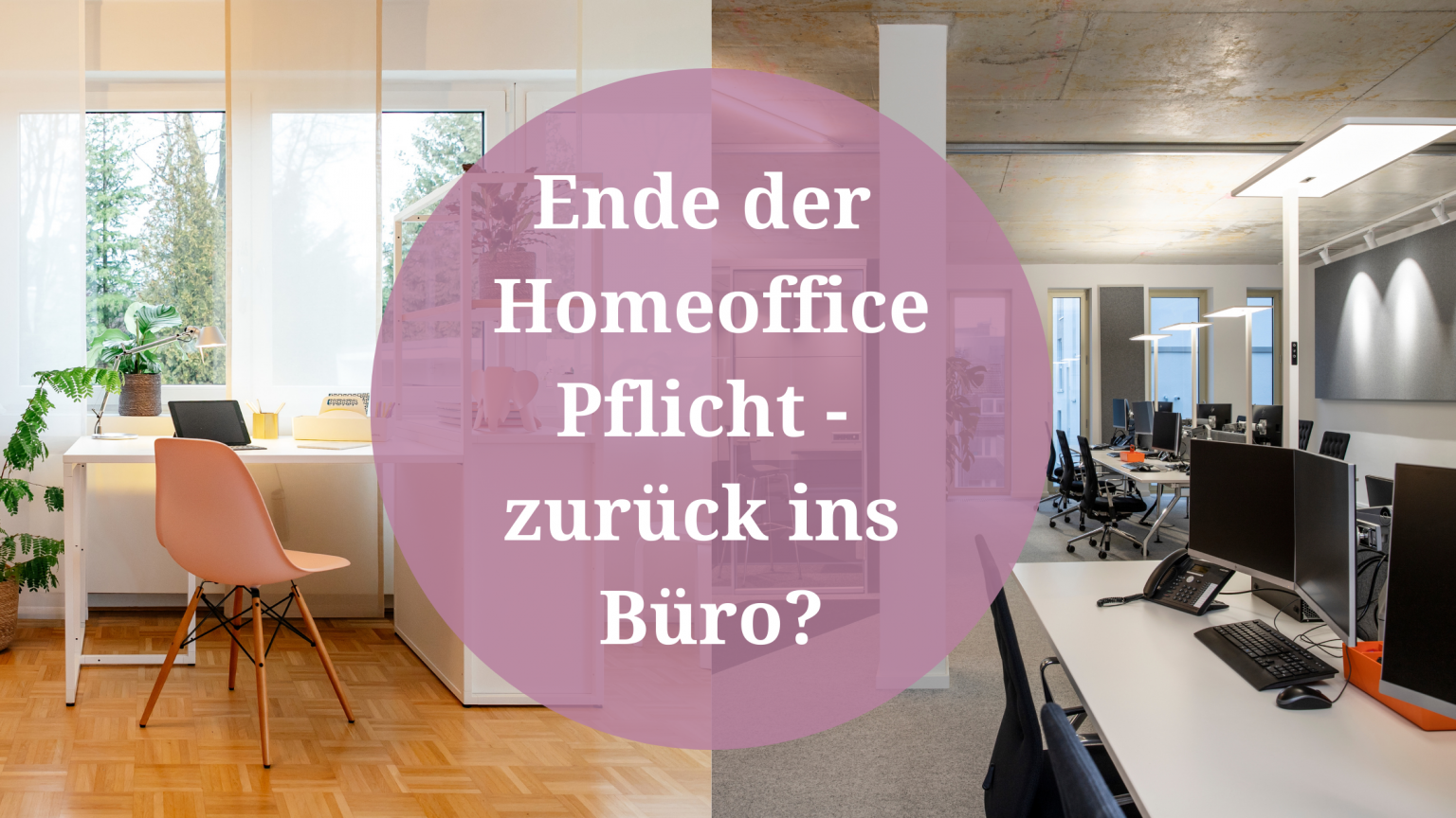 Ende der Homeoffice Pflicht zurück ins Büro? thehomeofficeblog